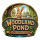 Woodland Pond