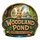 Woodland Pond